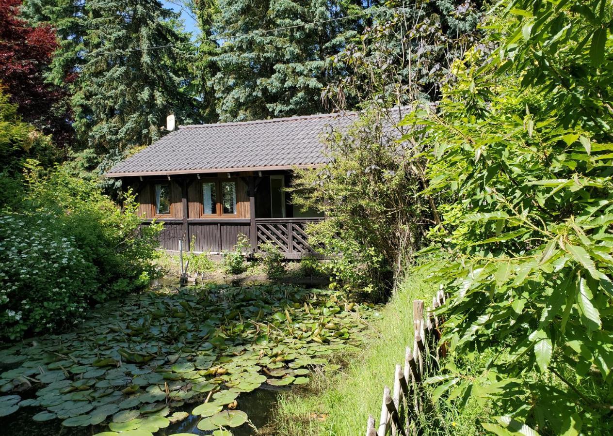 Dankowska Dolina Exterior foto