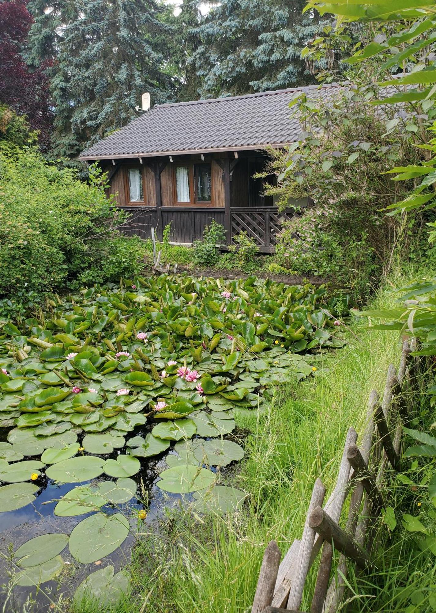 Dankowska Dolina Exterior foto